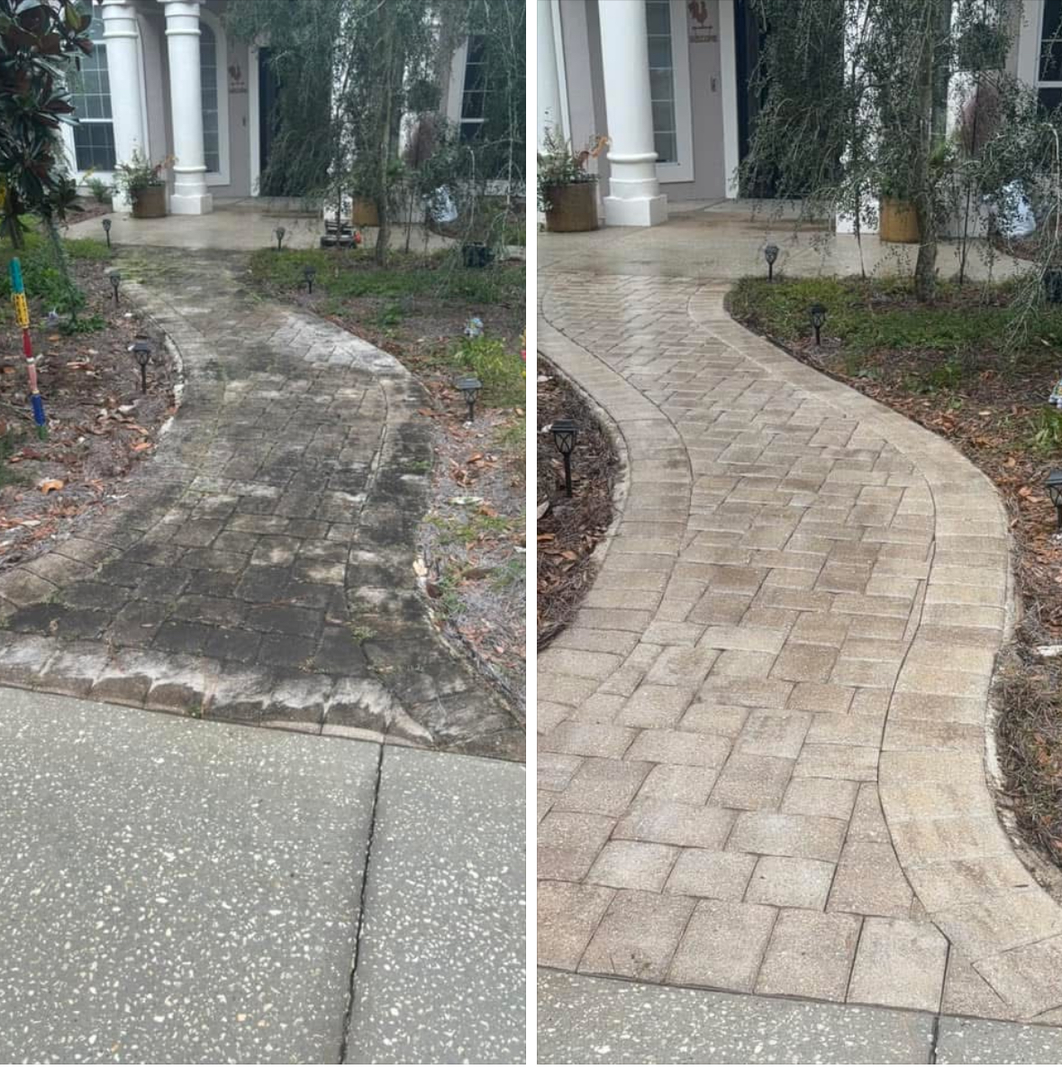 Paver walkway cleaning — before and after